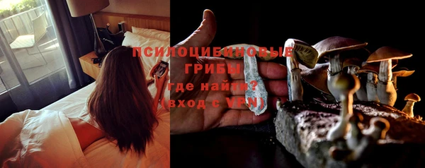 ешки Новозыбков