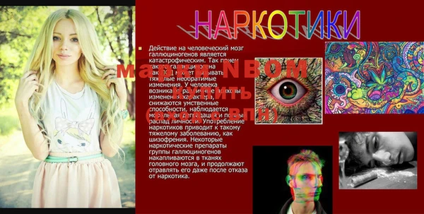 стафф Нефтегорск
