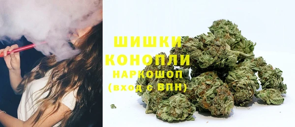 ECSTASY Новодвинск